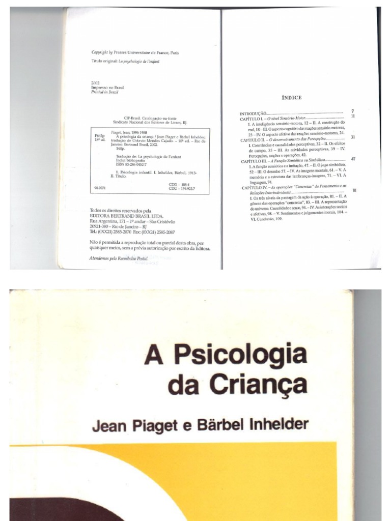 O Desenvolvimento das Quantidades Físicas na Criança – Jean Piaget e B.  Inhelder – Touché Livros
