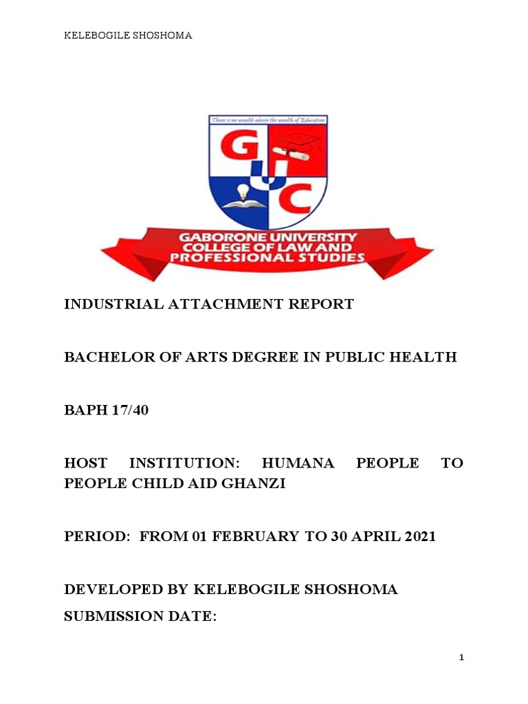 Industrial Attachment Report | PDF | Early Childhood Education | Human ...