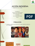 Población indígena amazónica y sus patrones de asentamiento