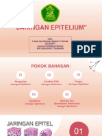 EPITELIUM_EGYLION_SPH1
