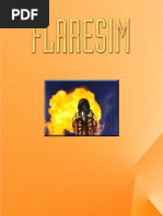 Flaresim Manual (2008)