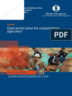 FAO - Quel Avenir Pour Les Coopératives en Tunisie