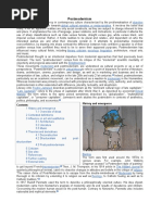 По дискурсу посмодернистов (инорст. библиография) PDF | PDF ...