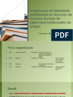 Construção Da Identidade Profissional No Decorrer Da Carreira 2