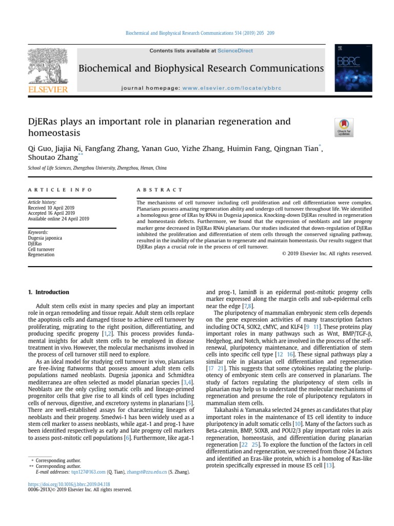 Biochemical and Biophysical Research Communications PDF Cellular Differentiation