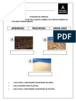 Tipos de solo para plantio: arenoso, rochoso e argiloso