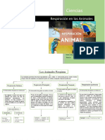 La Respiración en Los Animales PDF