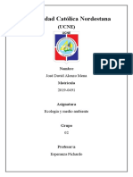 Eco Tarea Siete