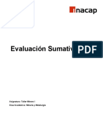 Evaluación Sumativa N°1 Taller Minero I