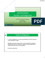 6_Histologia_tecido_catilaginoso