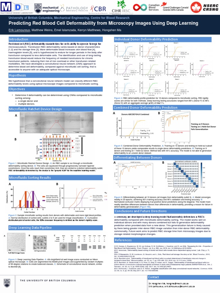 RBC Deformability Prediction via Deep Learning | PDF | Blood ...