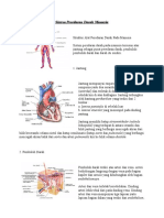 Sistem Peredaran Darah Manusia
