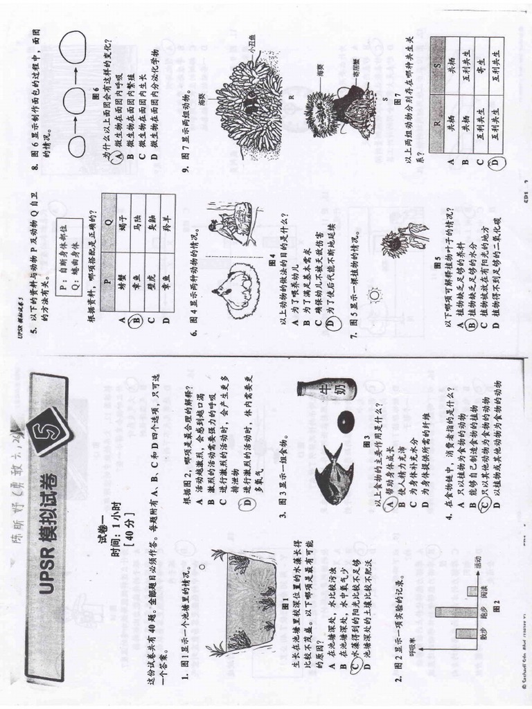 Unraveling Complex Code Patterns | PDF