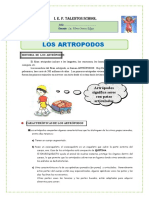 1° Zoologia Artropodo