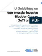 Non Muscle Invasive Bladder Cancer TaT1 CIS