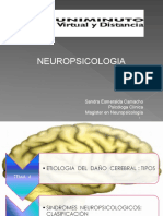 Etiologia y Sintomatologia Del Dano Cerebral