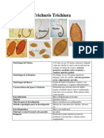 Repaso para Examen 4 de Lab, Parasito