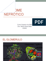 nefrologia_07