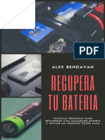 Recupera Tu Bateria - Alex Bendayan