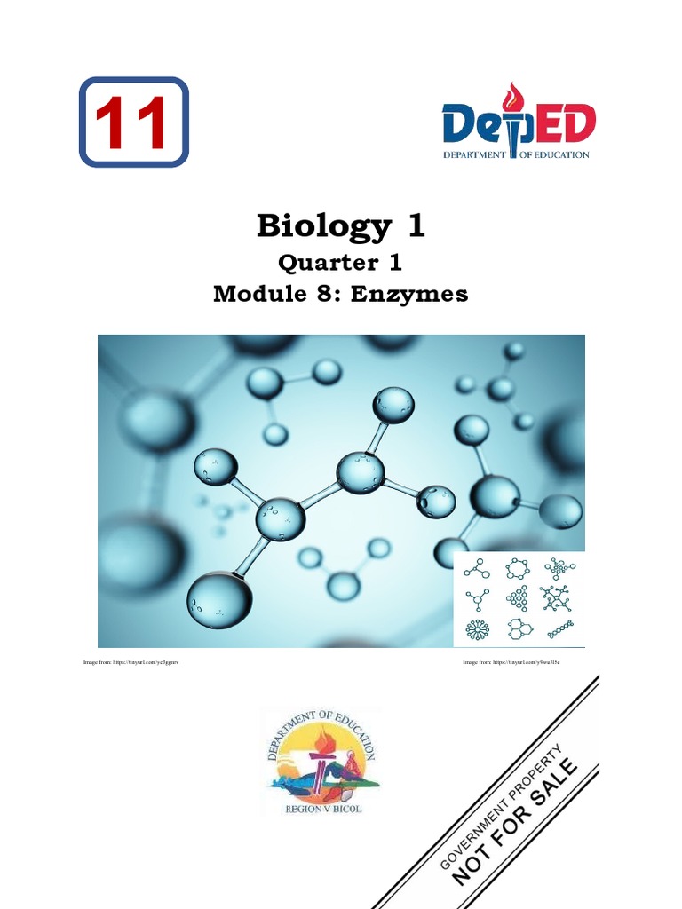 General Biology 1 Module 8 Q1 PDF Enzyme Cofactor (Biochemistry)