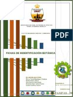 Actividad - TC1 Fichas de Identificación Botánica