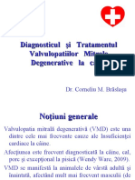 DG TT Valvulopatiei Mitrale Caine