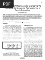 12 Strand DNA Morphogenetic Engineering Via Holofractal Morphogenetic Reprogramming of Genetic Information