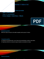 Proiect Didactic DP