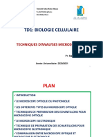 TD1 Biologie Cellulaire