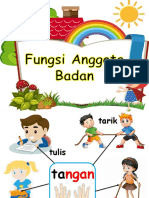 Nota Fungsi Anggota Badan 