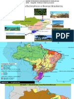 Dominios Biomas BR Resumo P Impressão