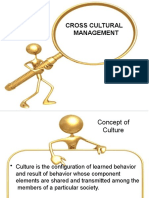 Cross Cultural Management