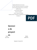 Gerencia de Proyecto