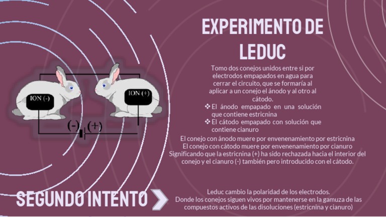Experimento de Leduc | PDF