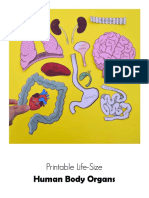 Life Size Printable Human Body Organs | PDF | Self-Improvement