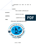 EL SISTEMA MUSCULAR Trabajo Final