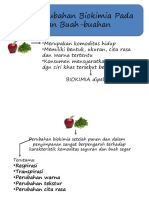 Prubhn Biokim PD Syur Dan Buah