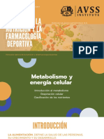 Metabolismo y Energía Celular