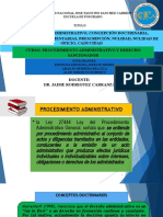 Diapositivas para Exposición - PAD