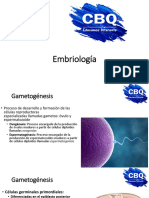 37 - Gametogenesis, Fecundación e Implantación
