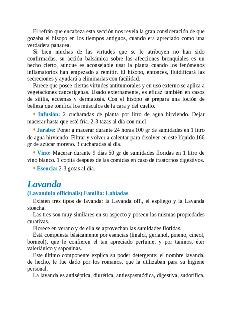 Mascarilla facial limpiadora pulpa de sábila y arcilla verde – Andy Le'Pues