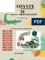 Ecosystems Organization