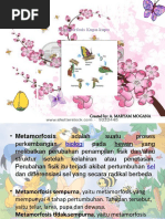 Download Metamorfosis Kupu-kupu by Andimar Mo SN50781062 doc pdf