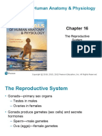 Essentials of Human Anatomy & Physiology: Twelfth Edition