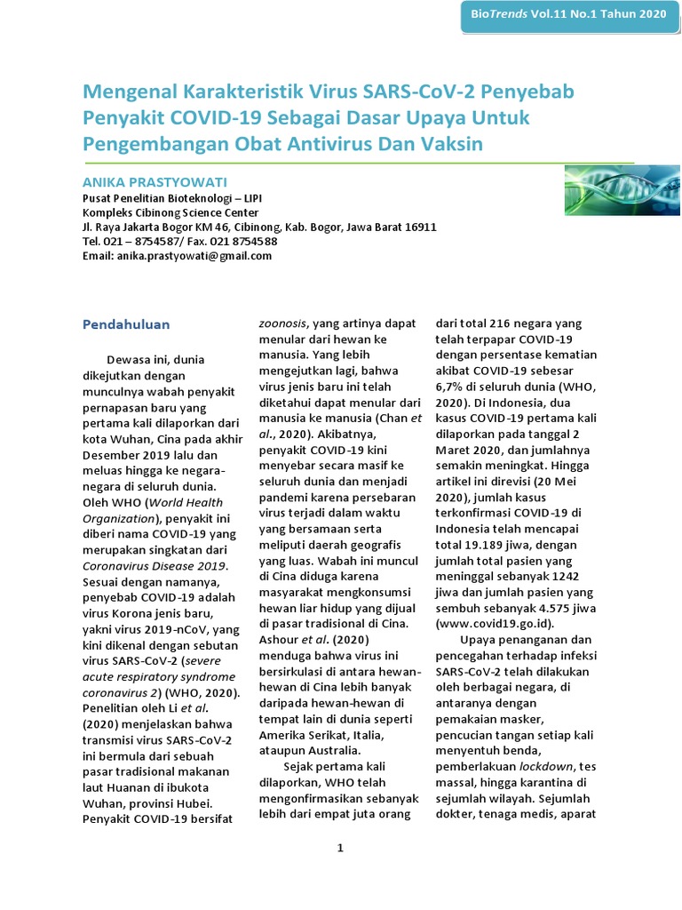 Virus Corona Pdf