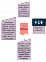 Mapa Conceptual de Los Minerales