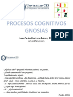 5 Procesos Cognitivos Gnosias