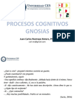 Procesos cognitivos y percepción visual