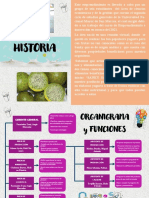 Historia y Organigrama