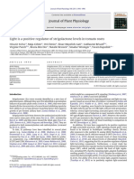 Light Is A Positive Regulator of Strigolactone Levels in Tomato Roots